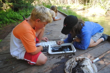 Two campers looking at bugs from Finch Creek