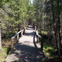 Tamarack Trail to be replaced