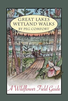Cover of Great Lakes Wetland Walks